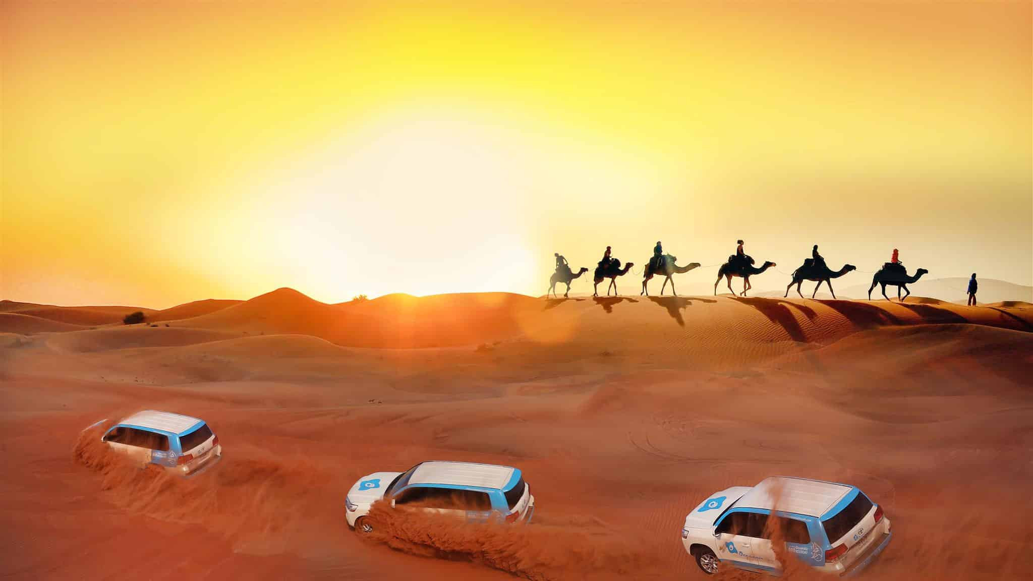 Dubai Evening Safari