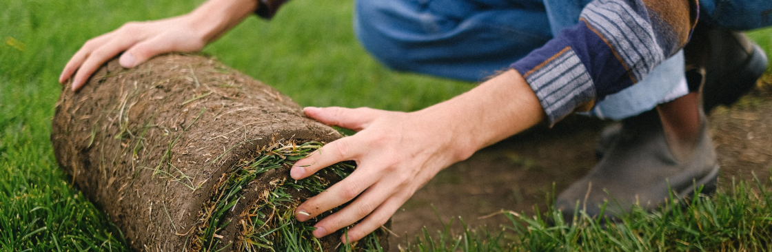 Turf Installation Sydney Turf Laying Sydney