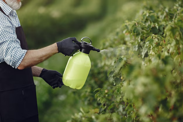 Weed Control Services in Cornelius, NC
