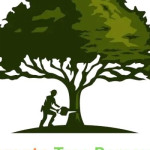 Tree Removal