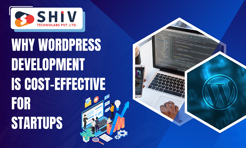Why WordPress Development Is Cost-Effective for Startups | White Label IT Development Services
